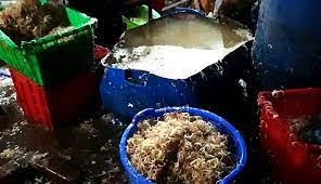 Cuộc đầu độc vĩ đại ở Việt&nbsp;Nam